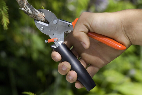 Gartenarbeit leicht gemacht: Die Profi Gartenschere von bestgarten.de im Test