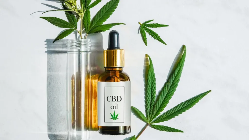 Warum CBD Gummies eine großartige Wahl für Anfänger sind