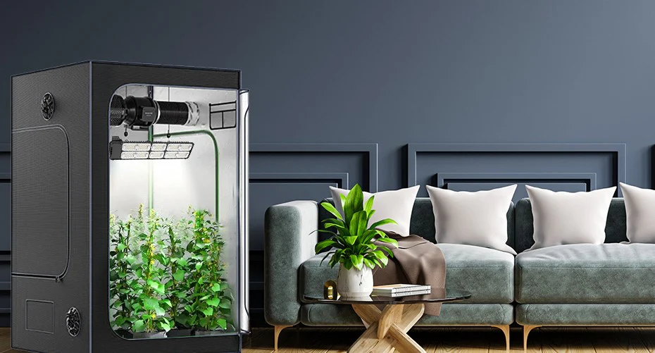 Grow LED Lampen: Technologie für perfektes Wachstum