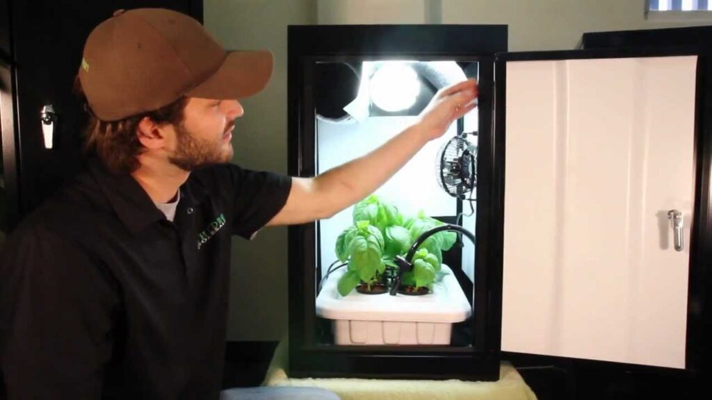 Growbox Set: Komplettlösungen für Ihren Indoor-Garten