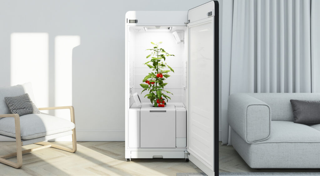 Dein Growshop für hochwertige Anbau-Ausstattung