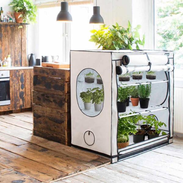 Growzelt 80×80: Die ideale Größe für Einsteiger