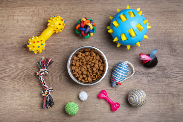 Tierbedarf: Praktische Produkte und Angebote für Hunde, Katzen, Vögel und Fische